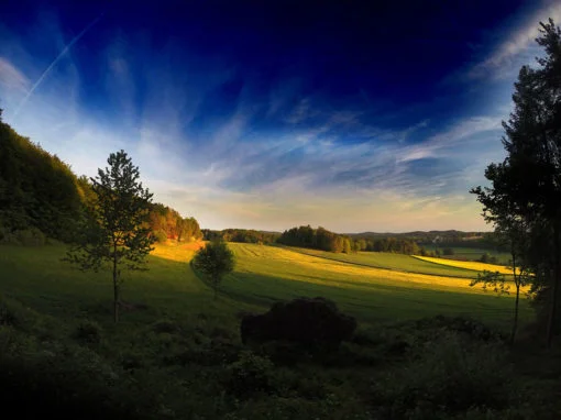 Landscape Project #02